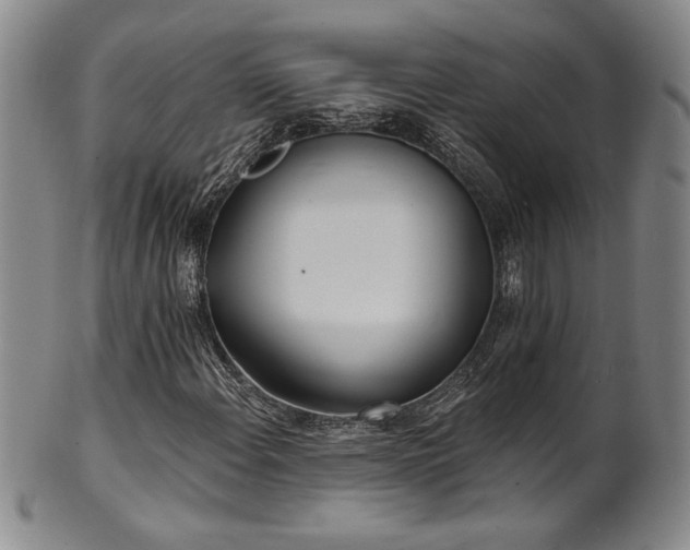 X0000101701108200807101530