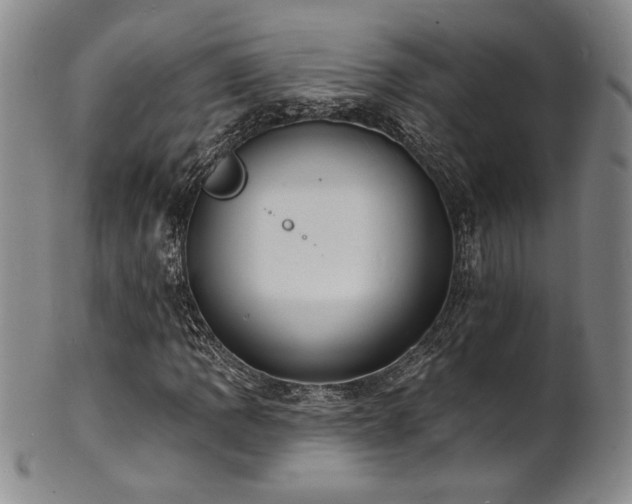 X0000101701109200807101530
