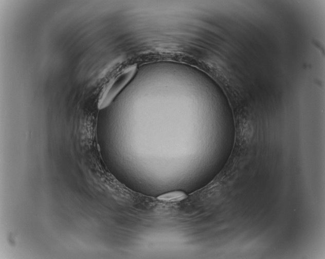 X0000101701110200807101530