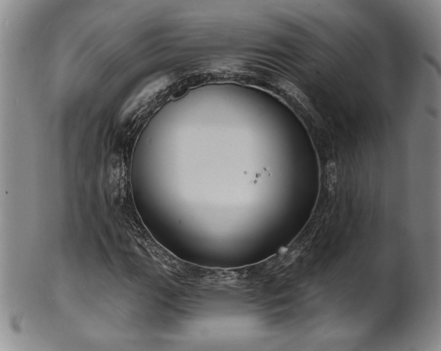 X0000101701111200807101530
