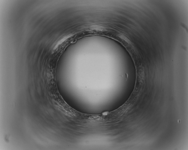 X0000101701112200807101530