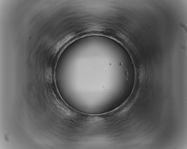 X0000101701113200807101530