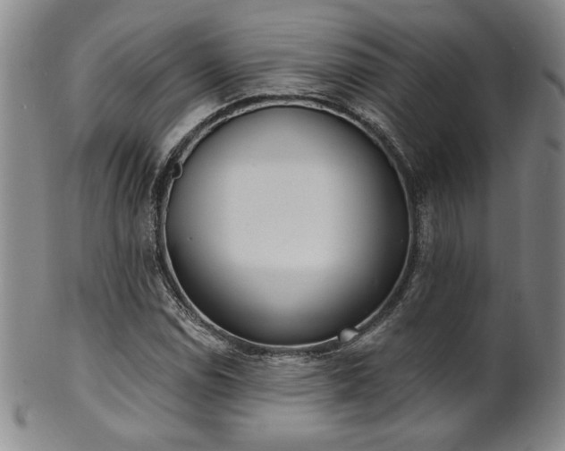 X0000101701114200807101530