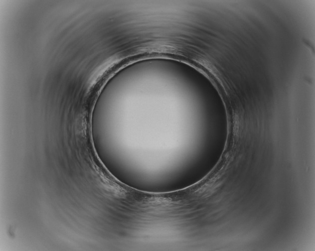 X0000101701115200807101530