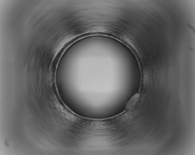 X0000101701116200807101530