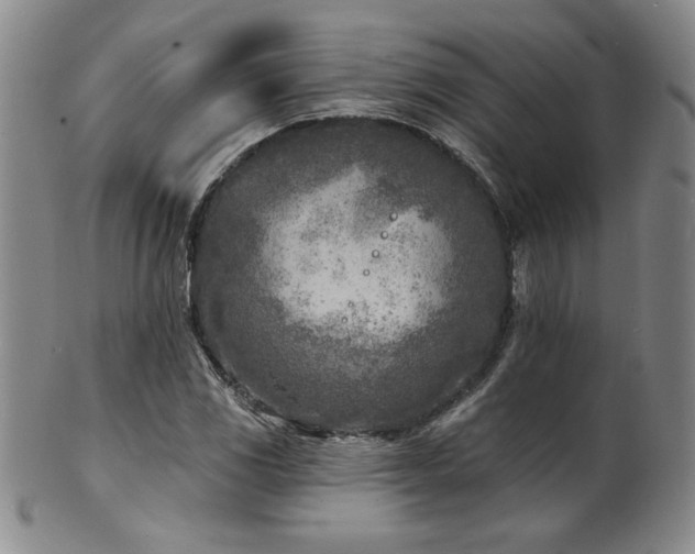 X0000101701117200807101530