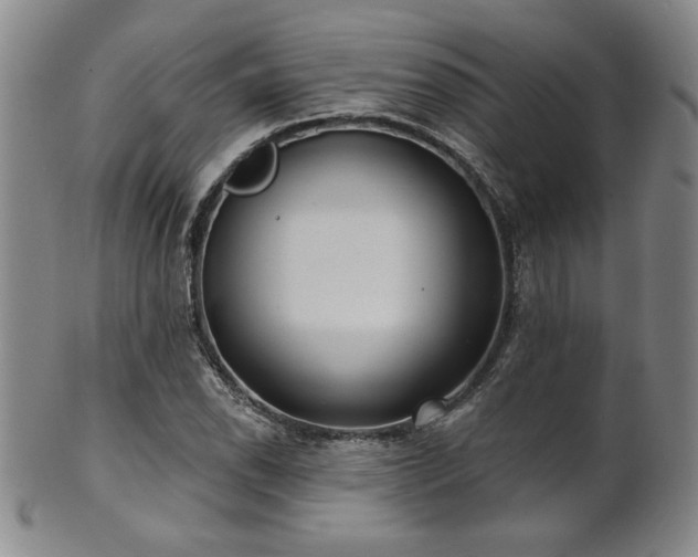 X0000101701118200807101530