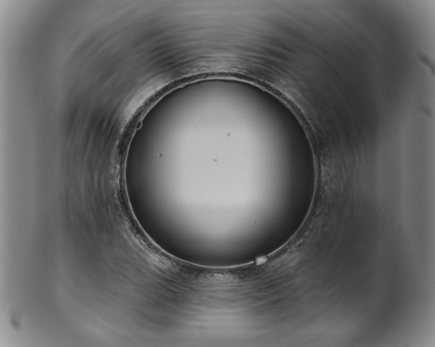 X0000101701119200807101530
