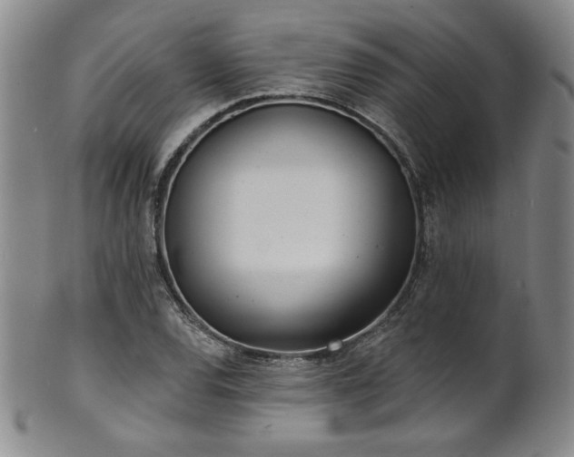 X0000101701120200807101530