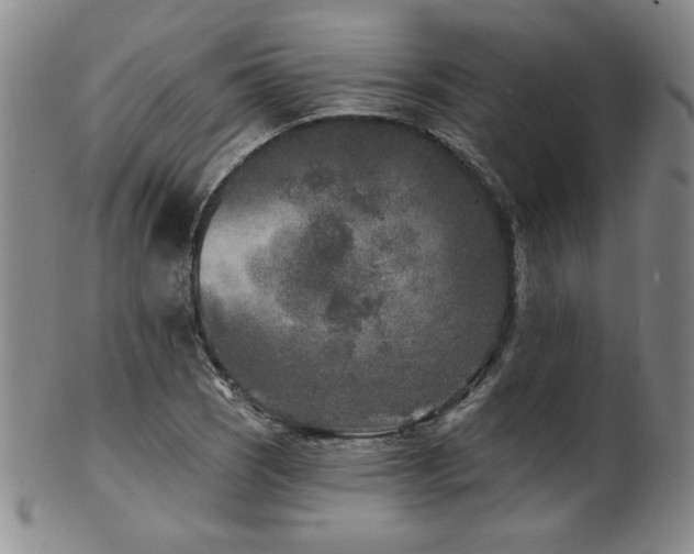 X0000101701121200807101530