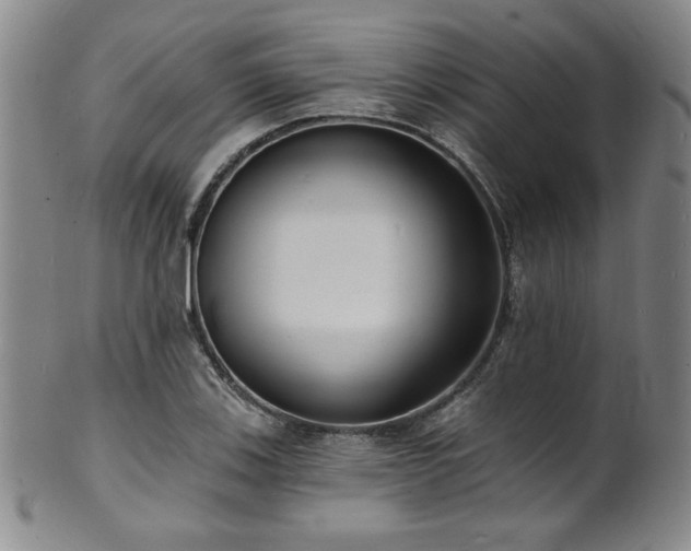 X0000101701123200807101530