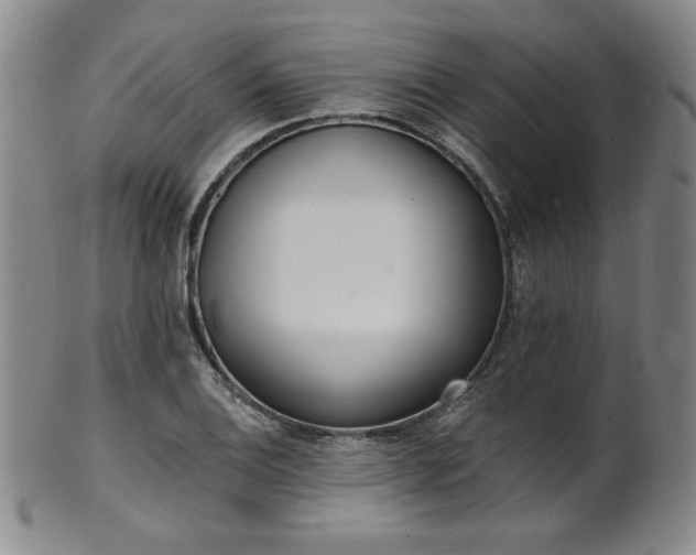 X0000101701124200807101530