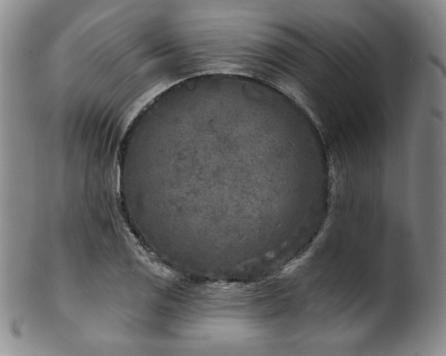X0000101701125200807101530