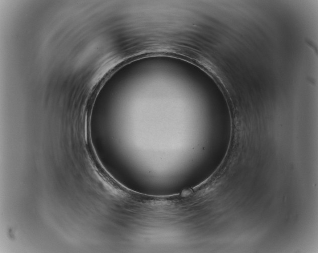 X0000101701127200807101530