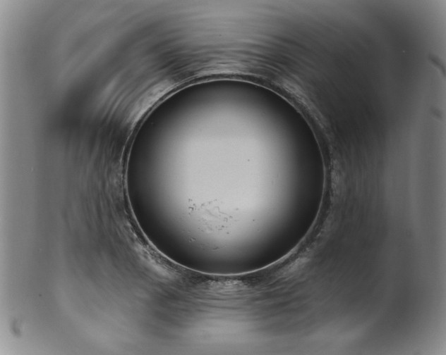 X0000101701129200807101530