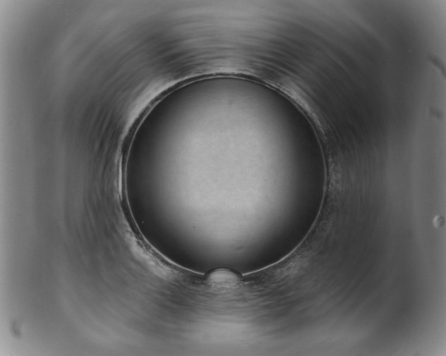 X0000101701132200807101530