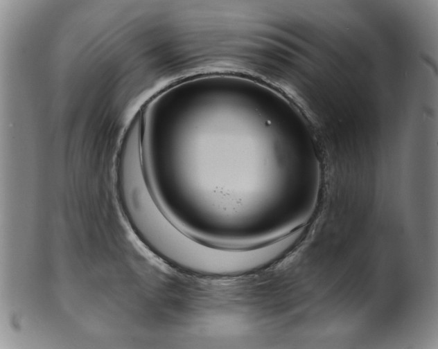 X0000101701134200807101530