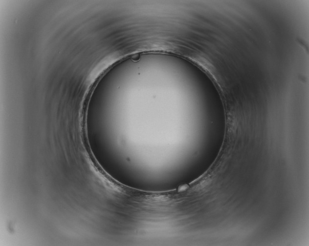 X0000101701135200807101530