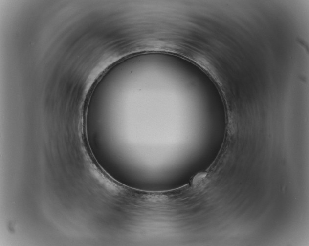 X0000101701136200807101530