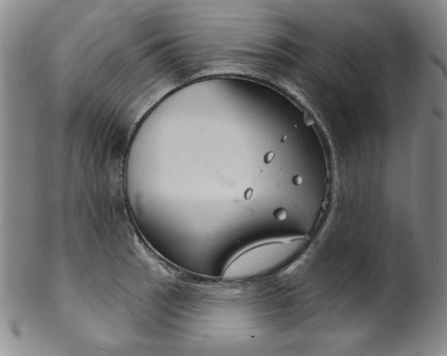 X0000101701137200807101530