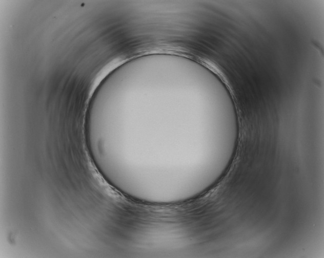 X0000101701138200807101531