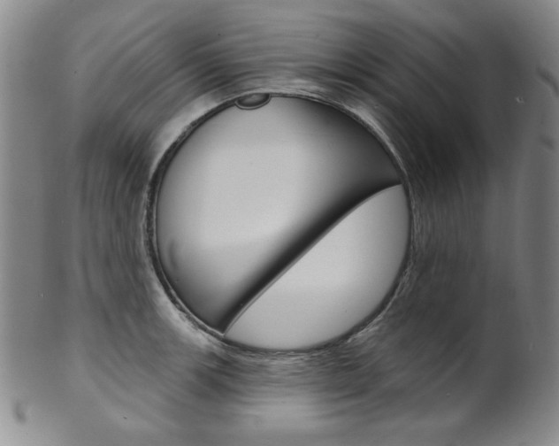X0000101701139200807101531