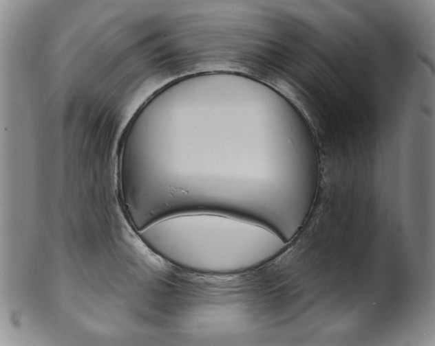 X0000101701140200807101531
