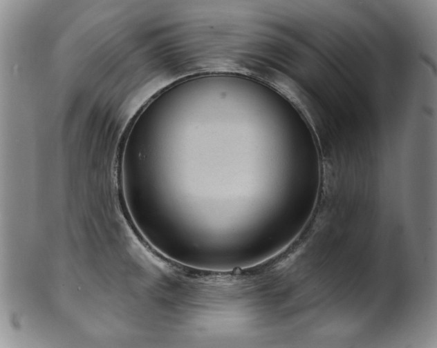 X0000101701141200807101531
