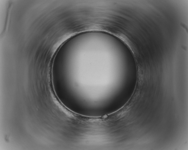 X0000101701142200807101531