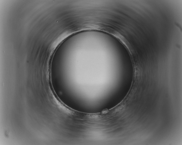 X0000101701143200807101531