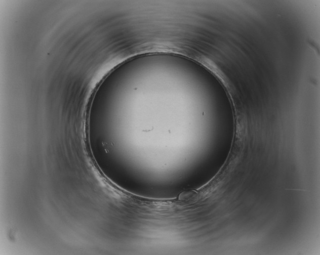 X0000101701144200807101531