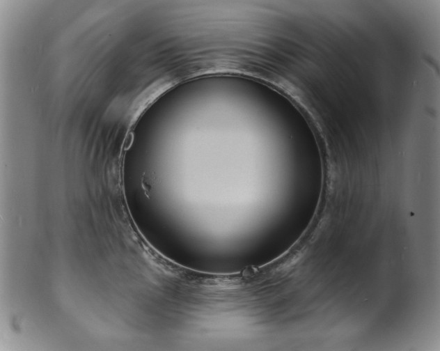 X0000101701145200807101531