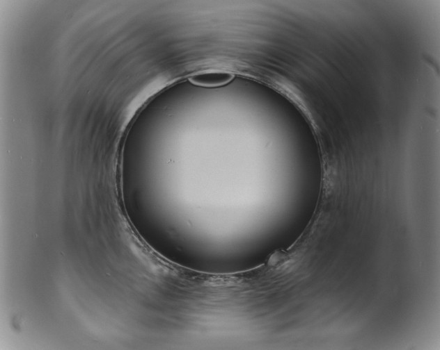 X0000101701146200807101531