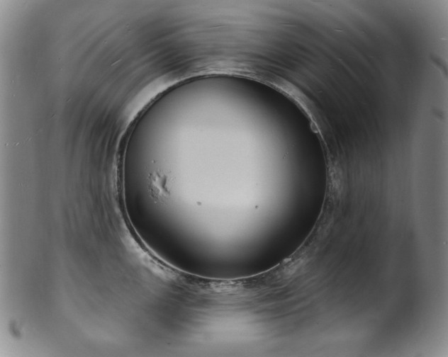 X0000101701147200807101531