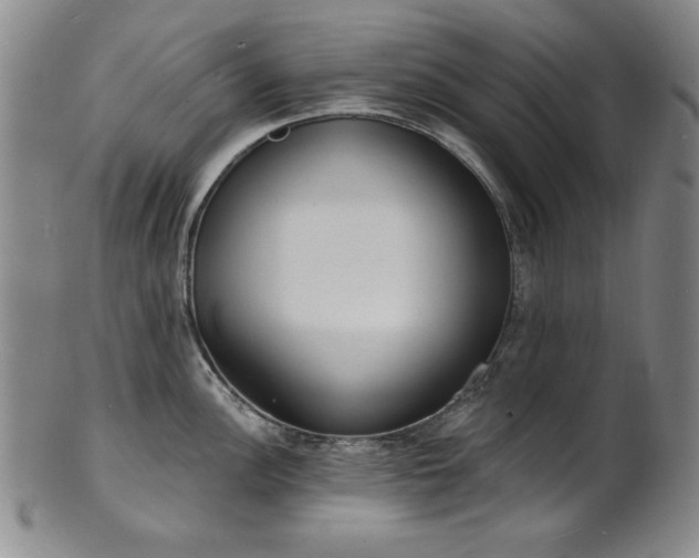 X0000101701148200807101531