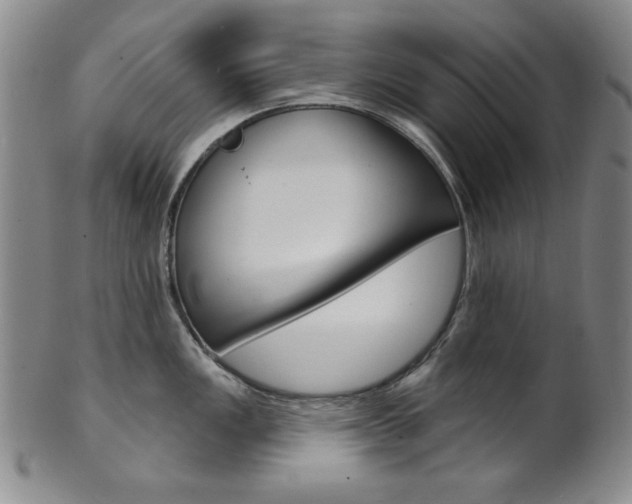 X0000101701149200807101531