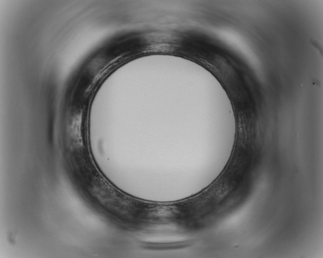 X0000101701150200807101531