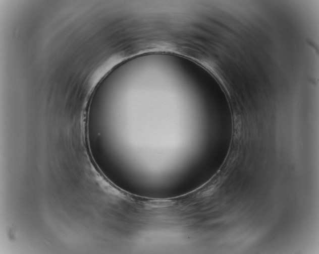 X0000101701151200807101531