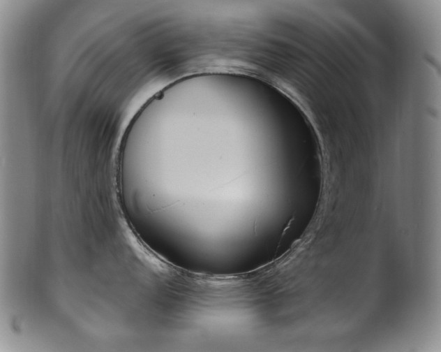 X0000101701152200807101531
