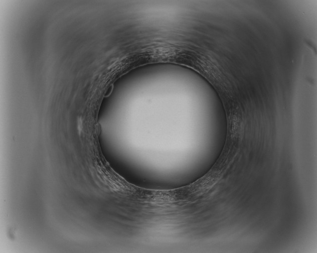 X0000101701153200807101530
