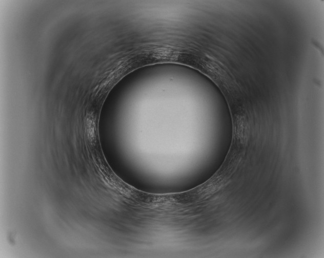 X0000101701154200807101530