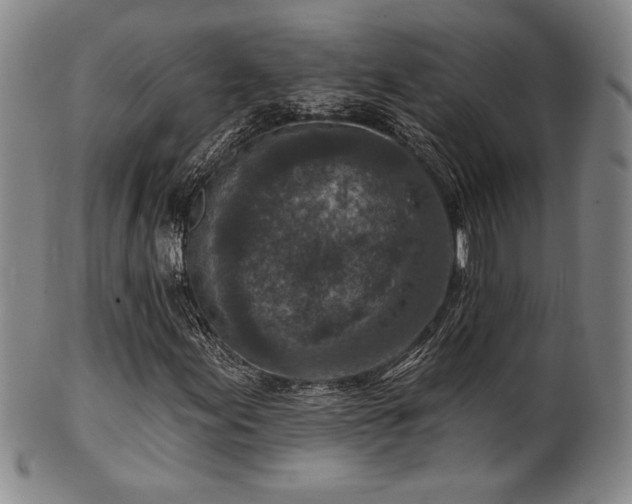 X0000101701155200807101530