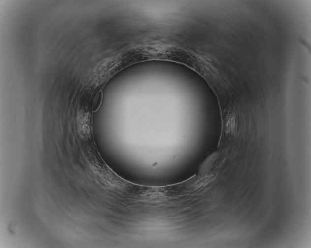 X0000101701156200807101530