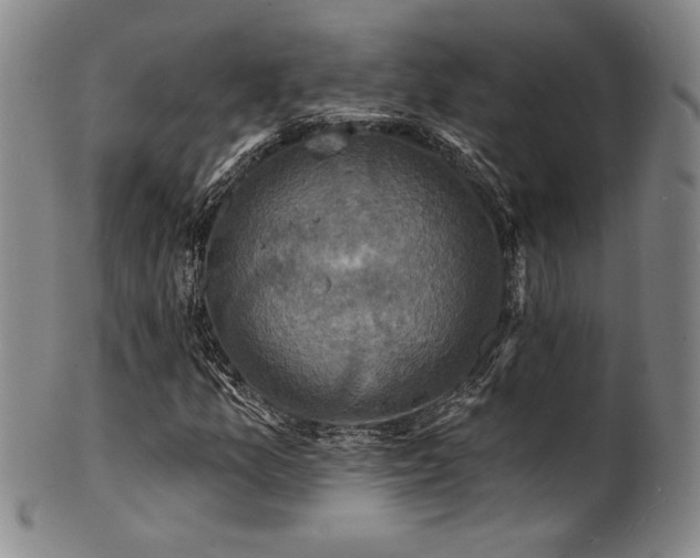 X0000101701157200807101530