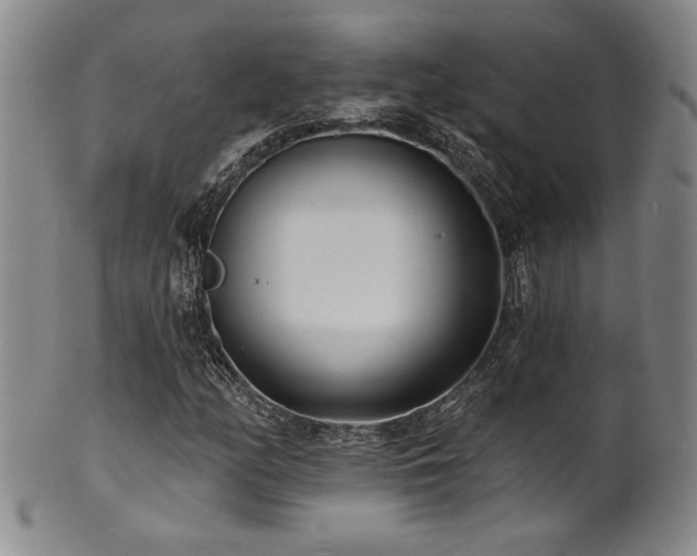 X0000101701158200807101530
