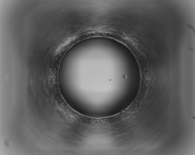 X0000101701159200807101530
