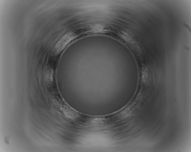 X0000101701161200807101530