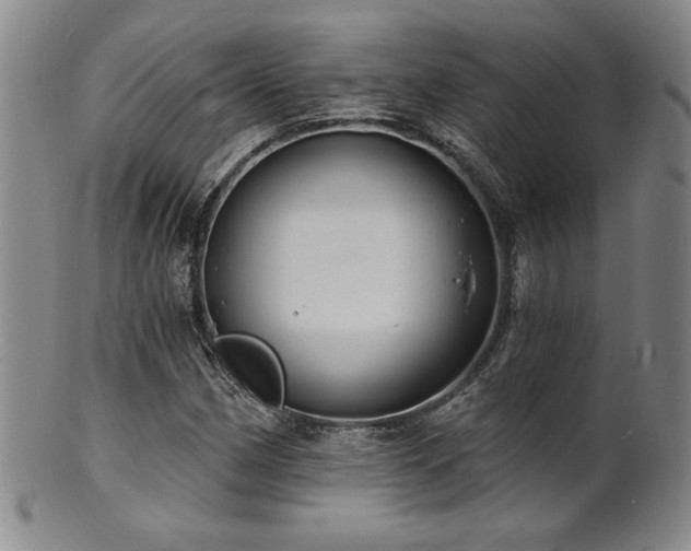 X0000101701162200807101530