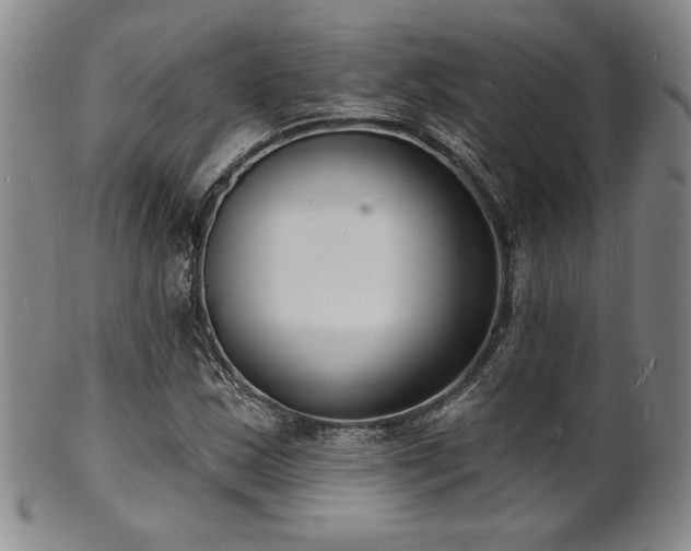 X0000101701163200807101530