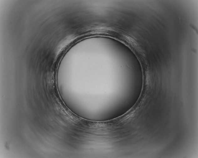 X0000101701164200807101530